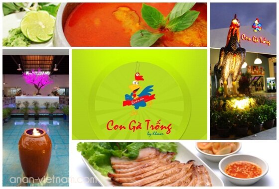 CON GÀ TRỐNG Restaurant